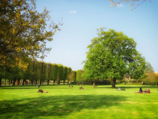 Comment créer un festival d'art interactif dans un parc public ?